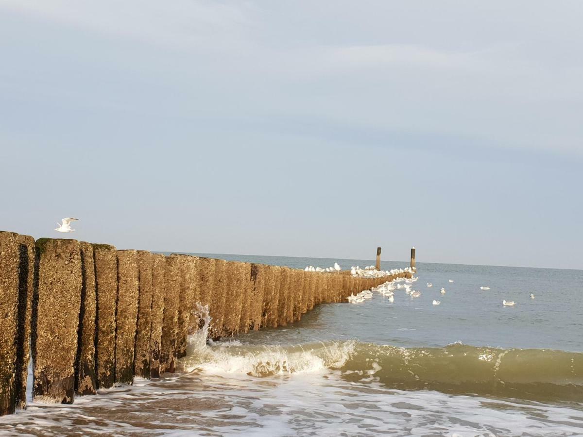 Studio Aan Zee オーストカペッレ エクステリア 写真
